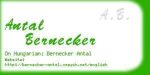 antal bernecker business card